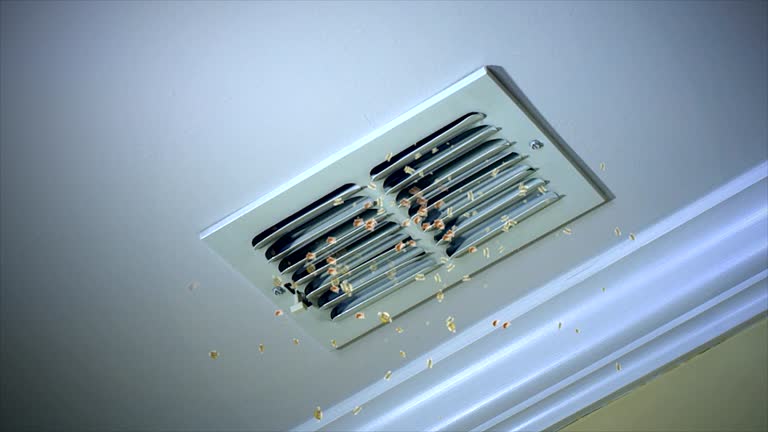 Best Emergency Air Duct Cleaning  in West Rancho Dominguez, CA