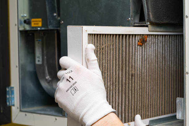 Best Ventilation Cleaning Services  in West Rancho Dominguez, CA